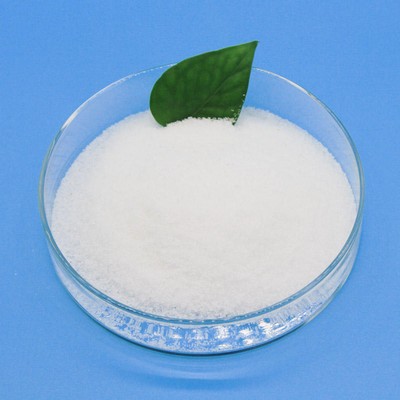 gel de polyacrylamide